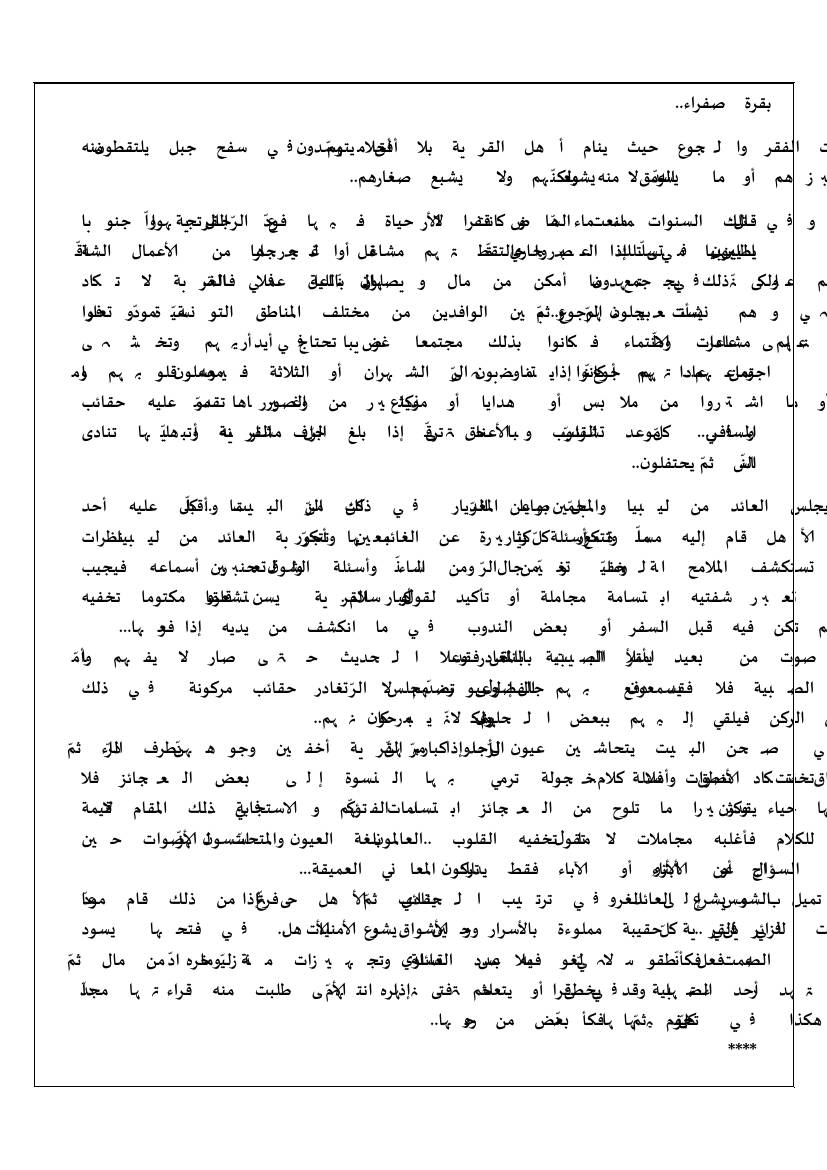غلاف كتاب بقرة صفراء للمؤلف محمد المولدي الداودي