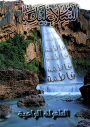 غلاف كتاب سلسلة السيرة الفاطمية للمؤلف أمل طنانة